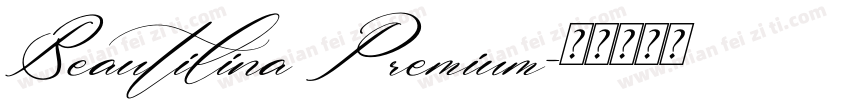 Beautilina Premium字体转换